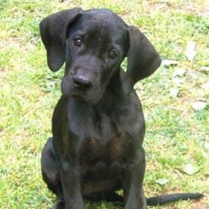 Meet your Posher, Derek